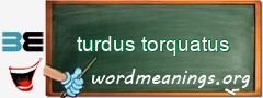 WordMeaning blackboard for turdus torquatus